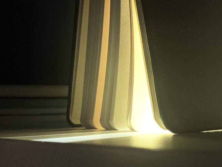 Exploring the Benefits of Bilingual Education