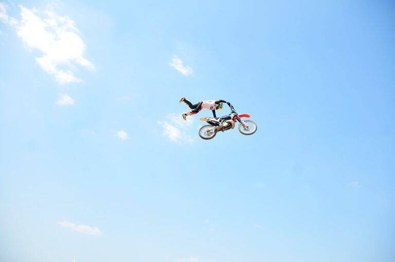 IPL and Its Influence on Indian Cricket Board Decisions