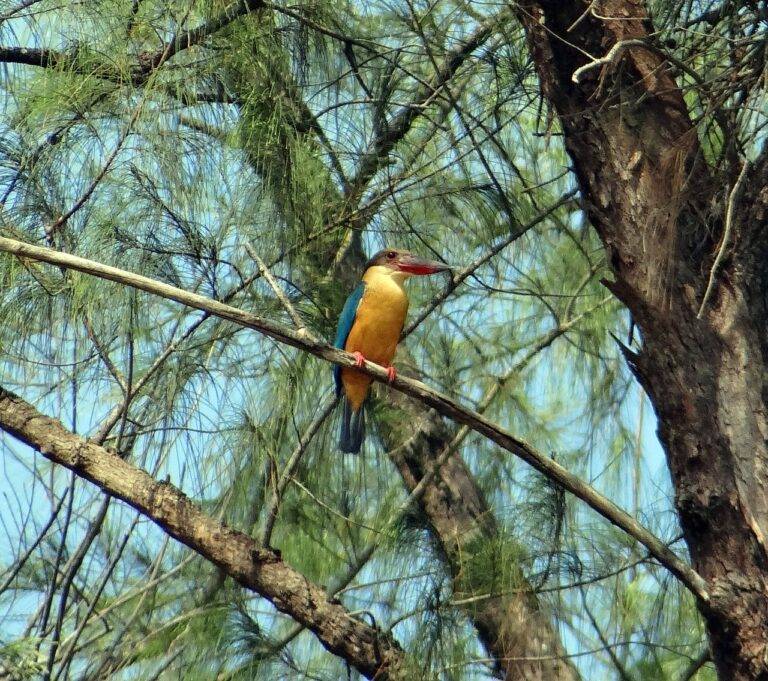 Exploring the Influence of Environmental Policies on Voter Preference